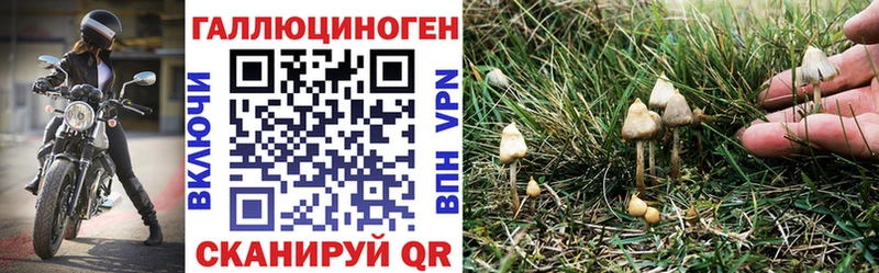 сайты даркнета Telegram  Ярцево  Псилоцибиновые грибы GOLDEN TEACHER 